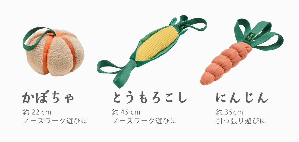 かぼちゃ・とうもろこし・にんじんのヴェニス3種類とサイズ・遊び方