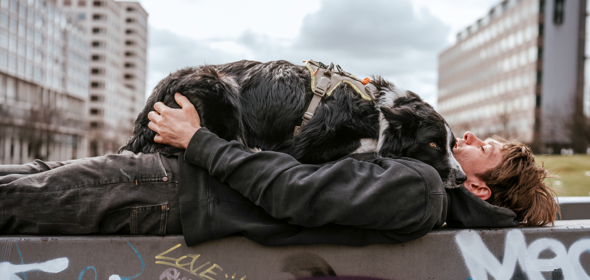 エルゴムーブ プロと愛犬との時間