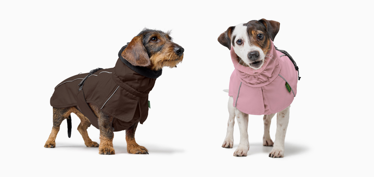 ノールドビーの新色ブラウンとオールドピンクを着用した犬