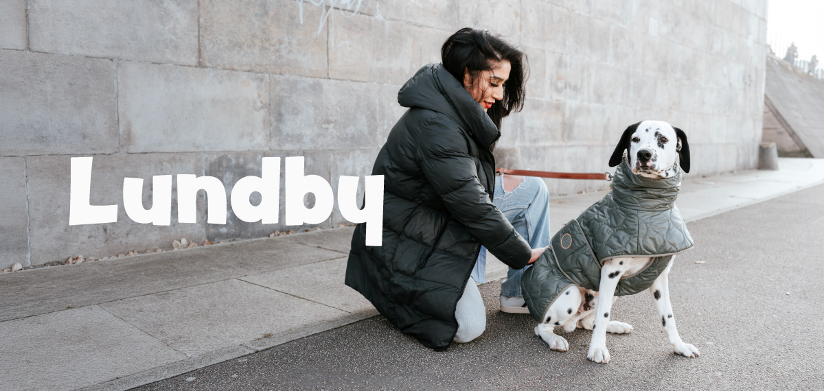 ルンドビーのキルティングコートを着用した犬