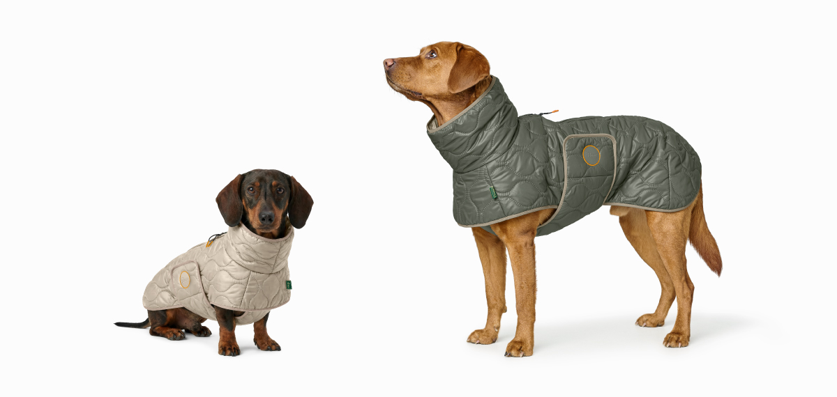 ダックスフンドなどの体型に合わせたルンドビー 胴長犬種用